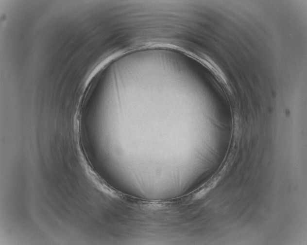 X0000083610814200703051542