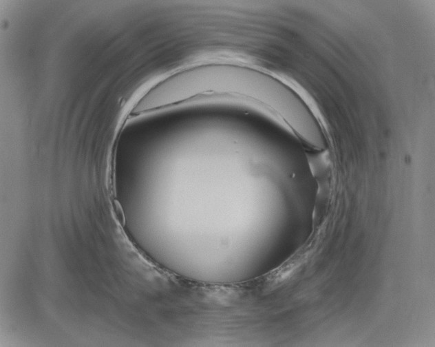 X0000083610815200703051542