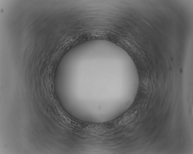 X0000083610817200703051541