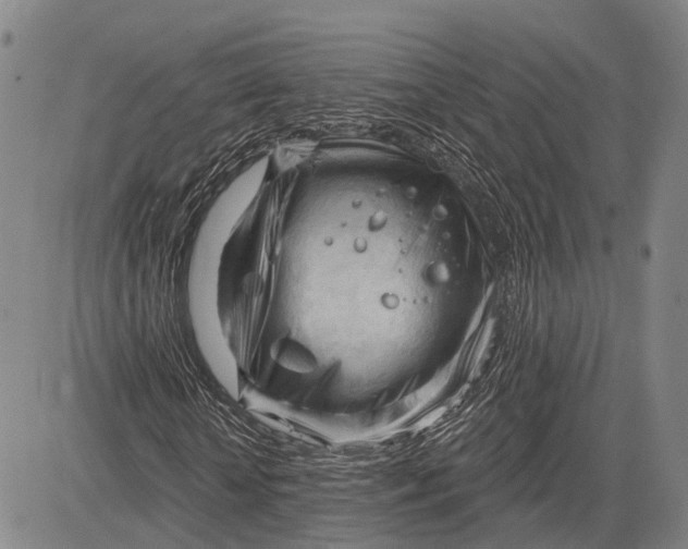 X0000083610818200703051541