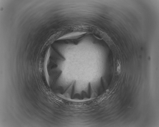 X0000083610819200703051541