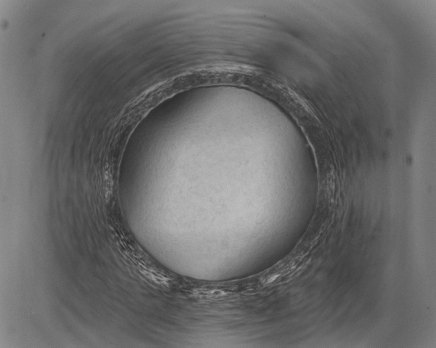 X0000083610821200703051541