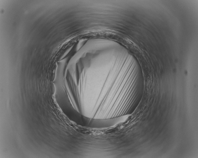 X0000083610822200703051541