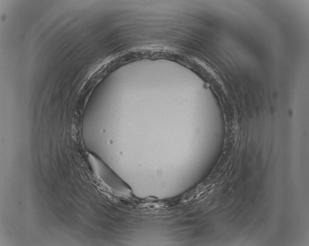 X0000083610823200703051541