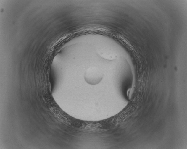 X0000083610824200703051541