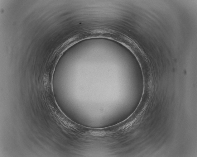 X0000083610825200703051541