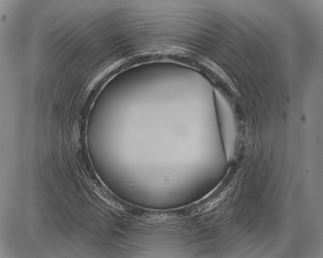 X0000083610826200703051541