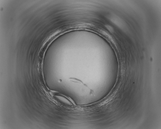 X0000083610827200703051541