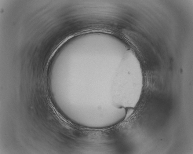 X0000083610828200703051541