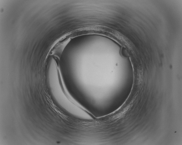 X0000083610830200703051541