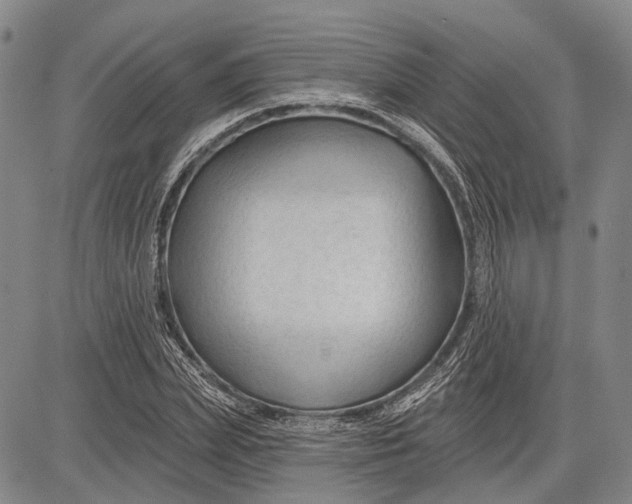 X0000083610831200703051541