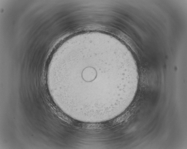 X0000083610832200703051541