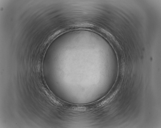 X0000083610833200703051541