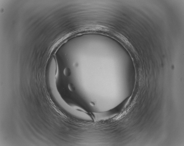 X0000083610834200703051541