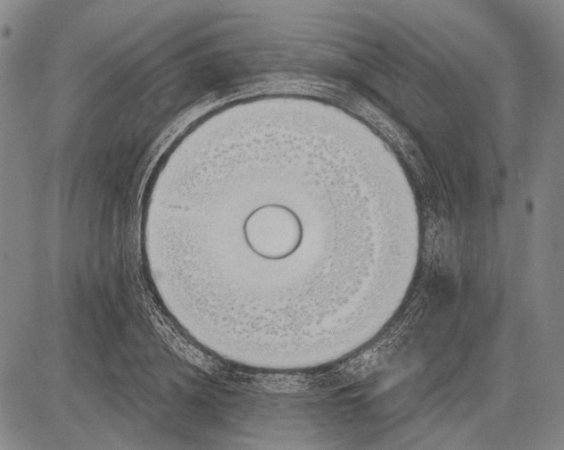 X0000083610836200703051541