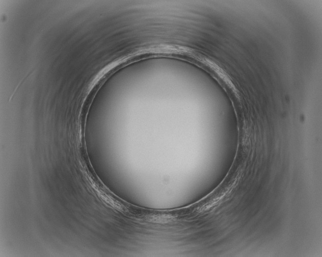 X0000083610837200703051541