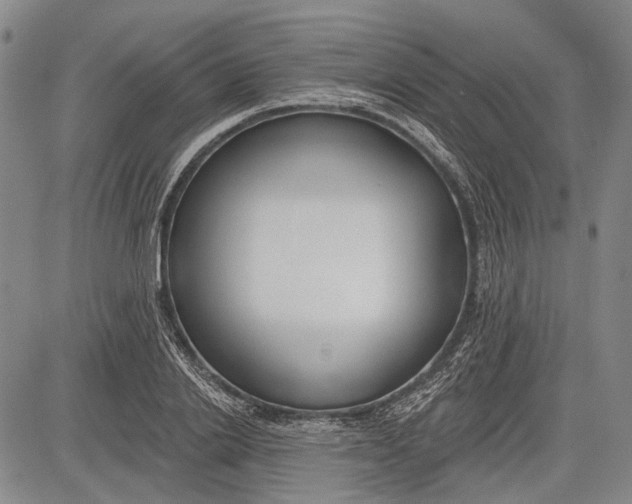 X0000083610838200703051541