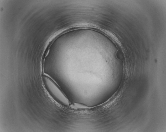 X0000083610839200703051541