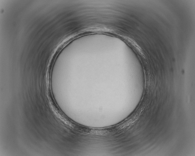 X0000083610840200703051541