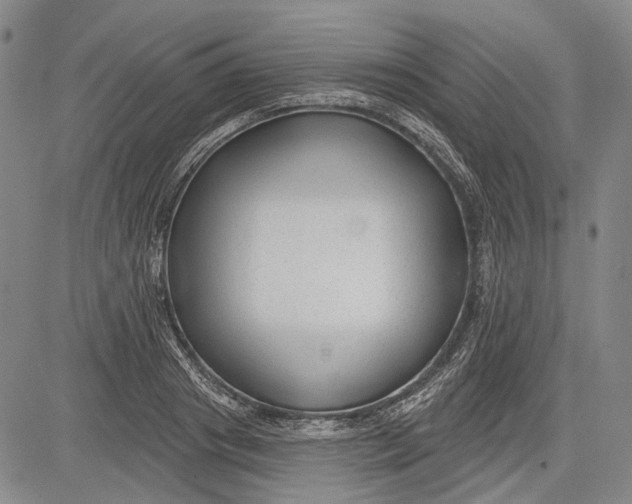 X0000083610841200703051541