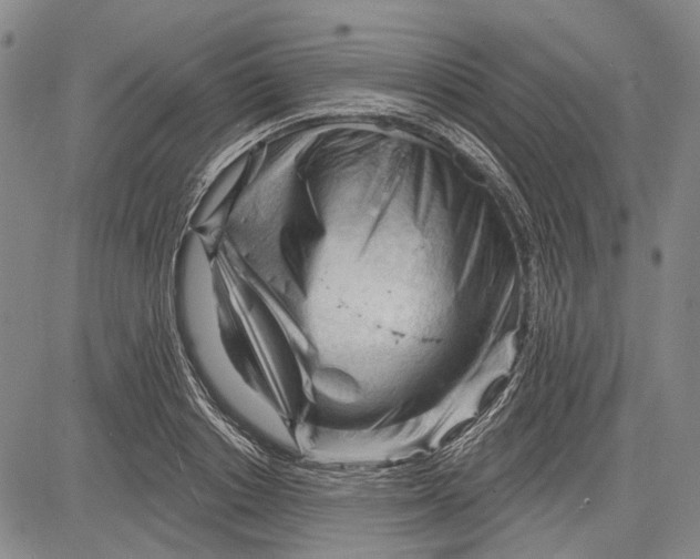 X0000083610842200703051541