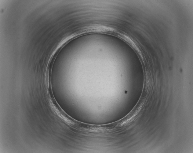 X0000083610843200703051541