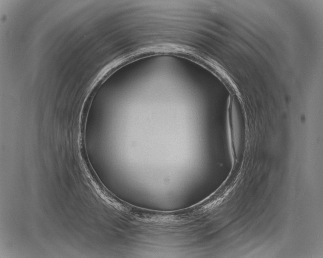 X0000083610845200703051541