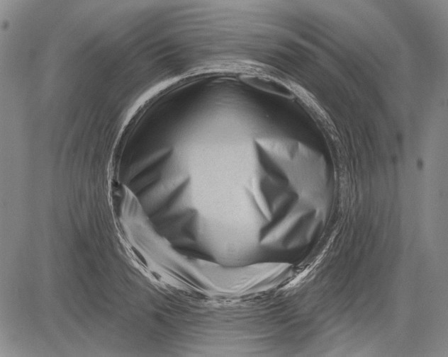 X0000083610846200703051541