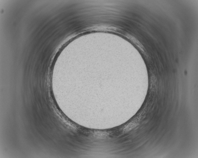 X0000083610848200703051541