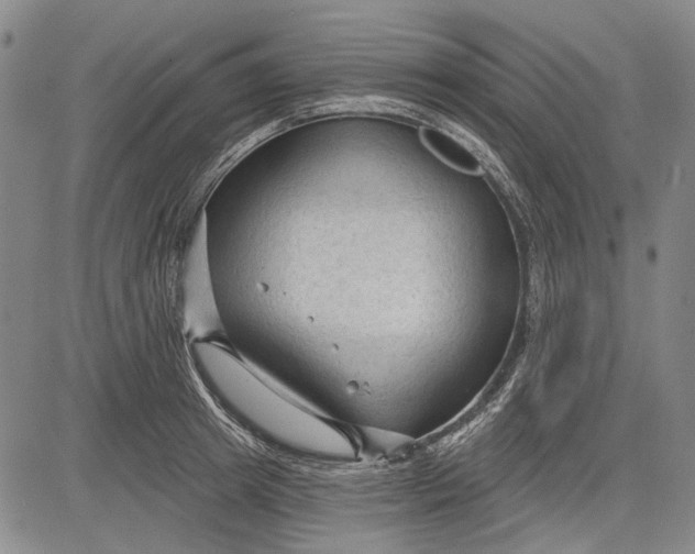 X0000083610849200703051541