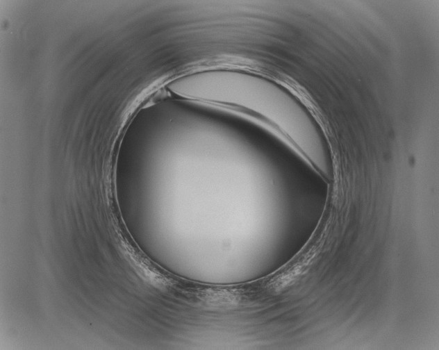 X0000083610850200703051541