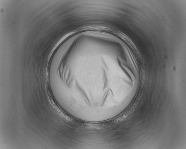 X0000083610852200703051541