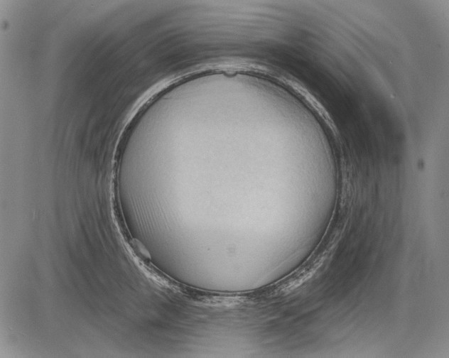 X0000083610853200703051541