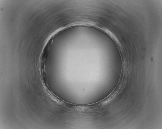 X0000083610854200703051541