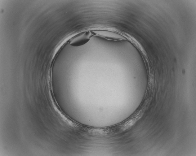 X0000083610855200703051541