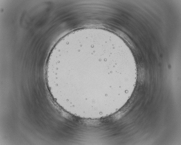 X0000083610856200703051541