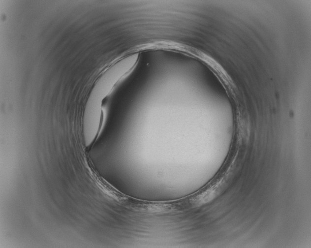 X0000083610857200703051541