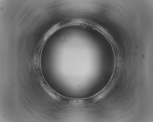 X0000083610858200703051541