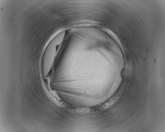 X0000083610859200703051541