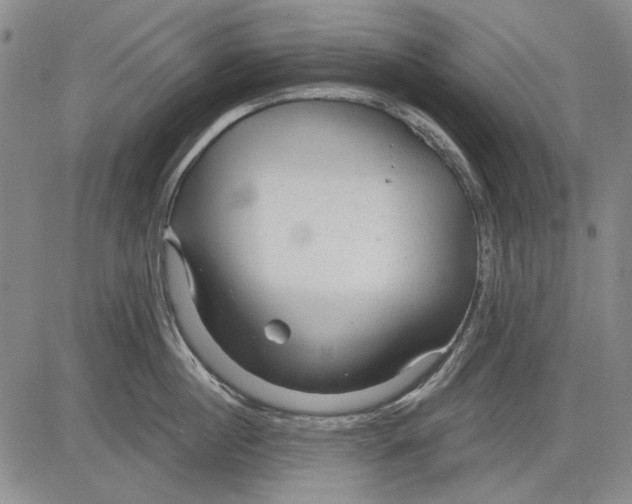 X0000083610860200703051541