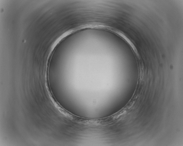 X0000083610861200703051542