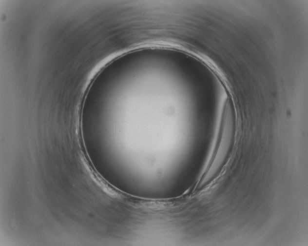 X0000083610862200703051542