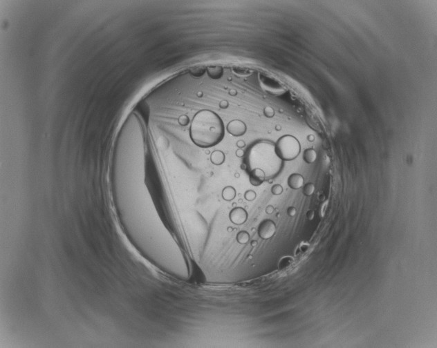 X0000083610863200703051542