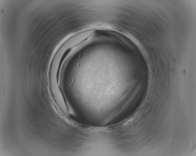 X0000083610864200703051542