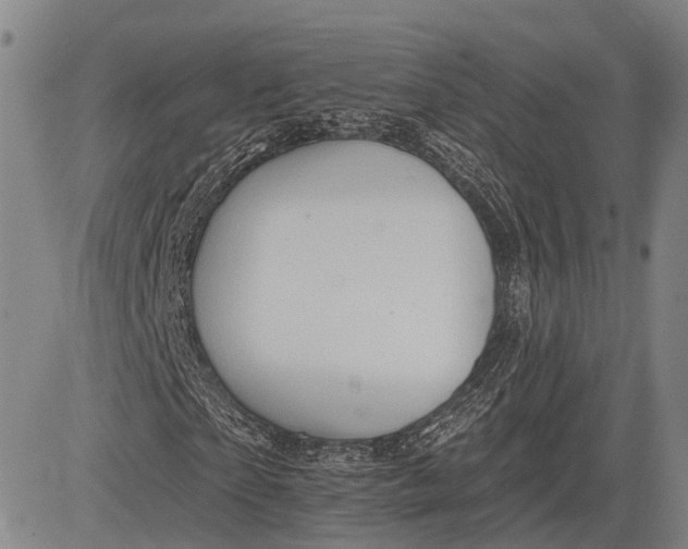 X0000083610865200703051541