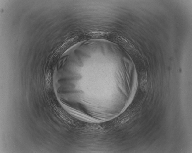 X0000083610866200703051541