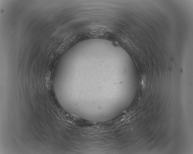 X0000083610867200703051541