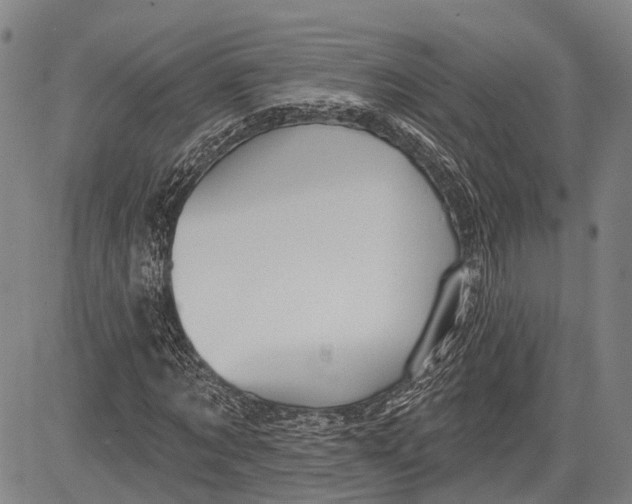 X0000083610869200703051541