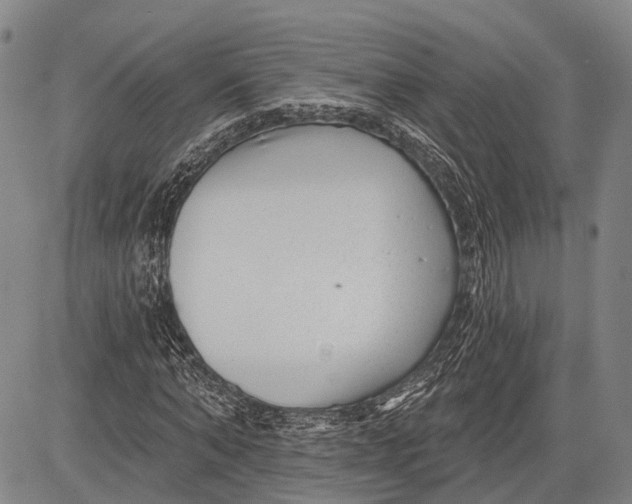 X0000083610870200703051541