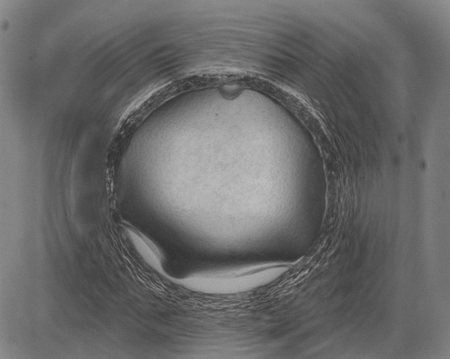 X0000083610871200703051541